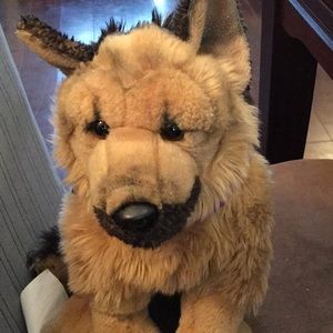 Meet your Posher, Wendy